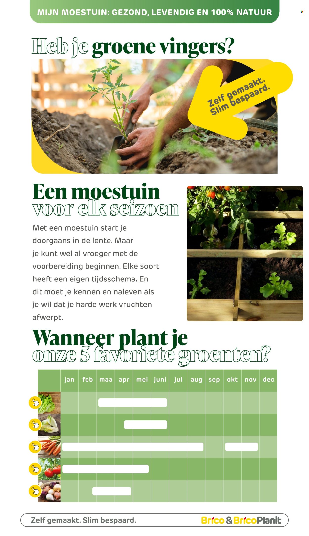 Catalogue Brico. Page 174.
