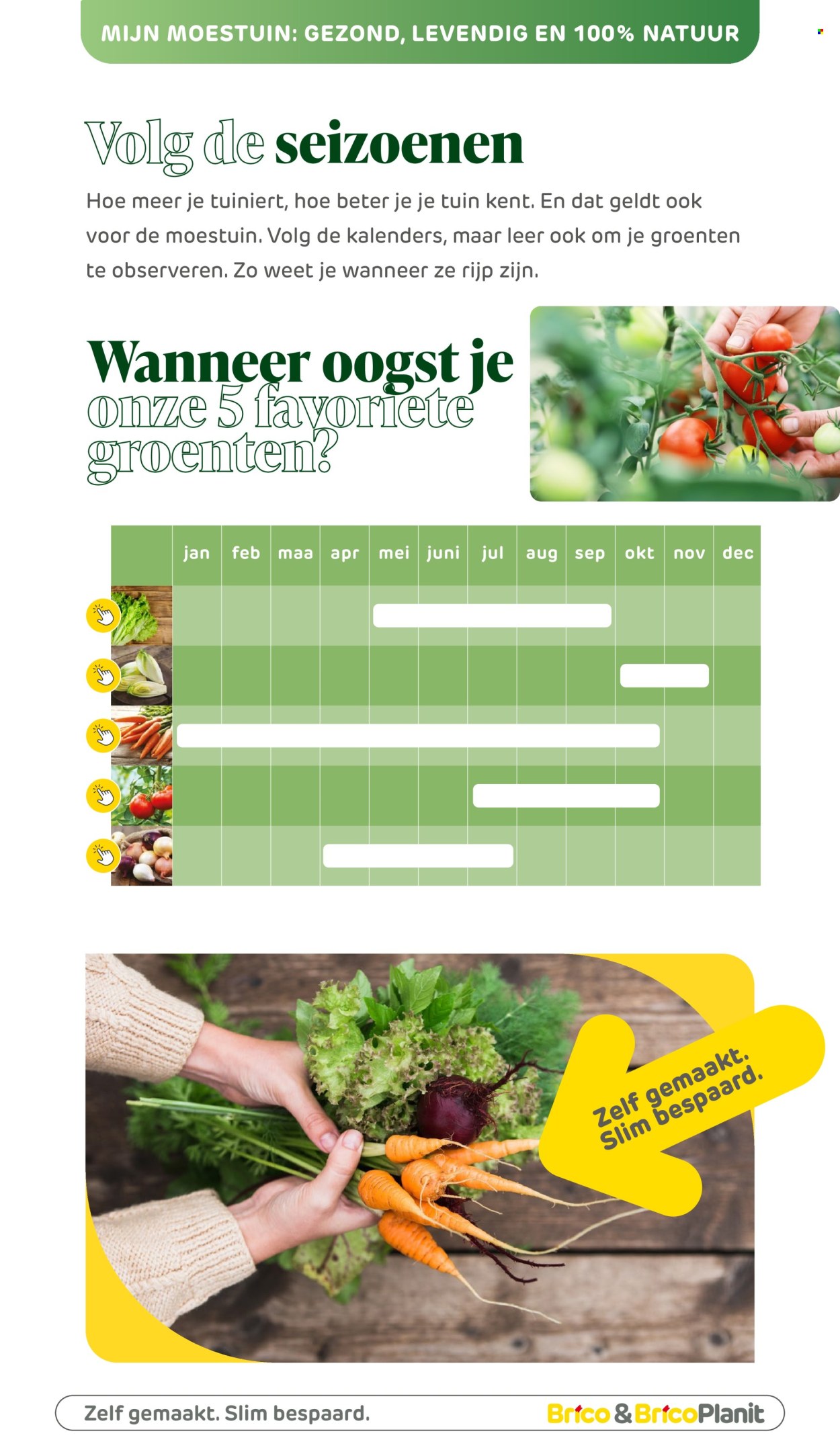 Catalogue Brico. Page 176.