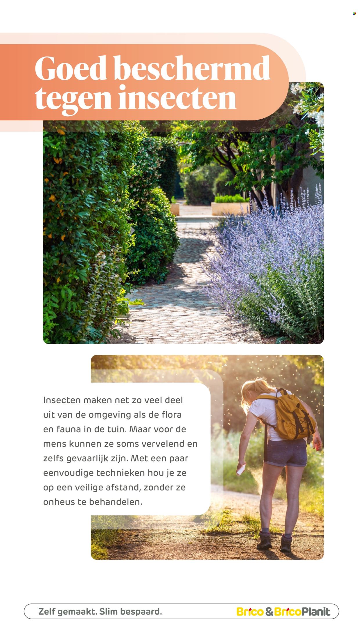 Catalogue Brico. Page 259.