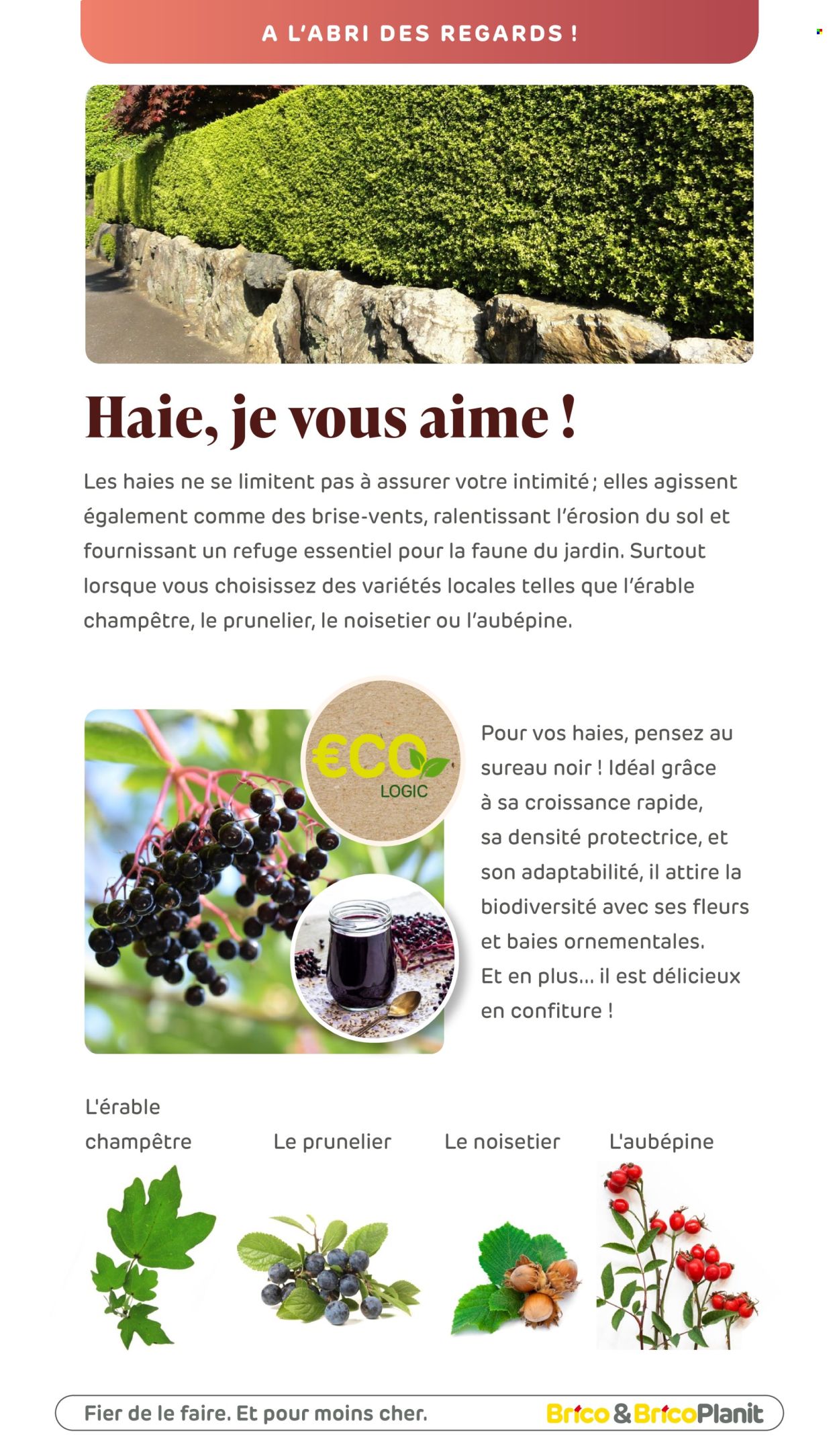 Catalogue Brico. Page 100.