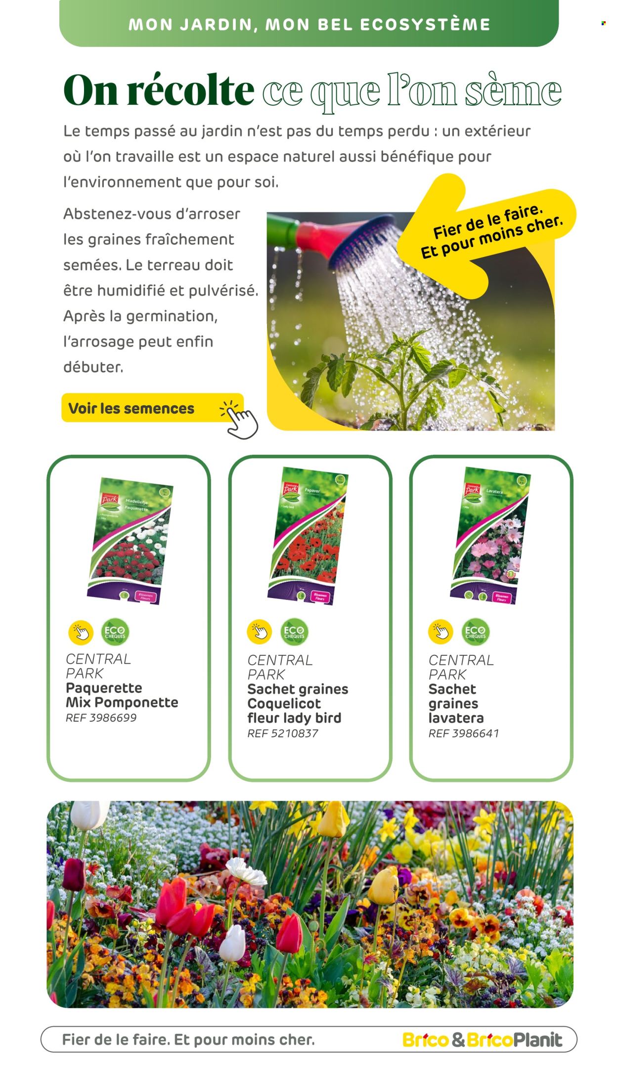 Catalogue Brico. Page 156.