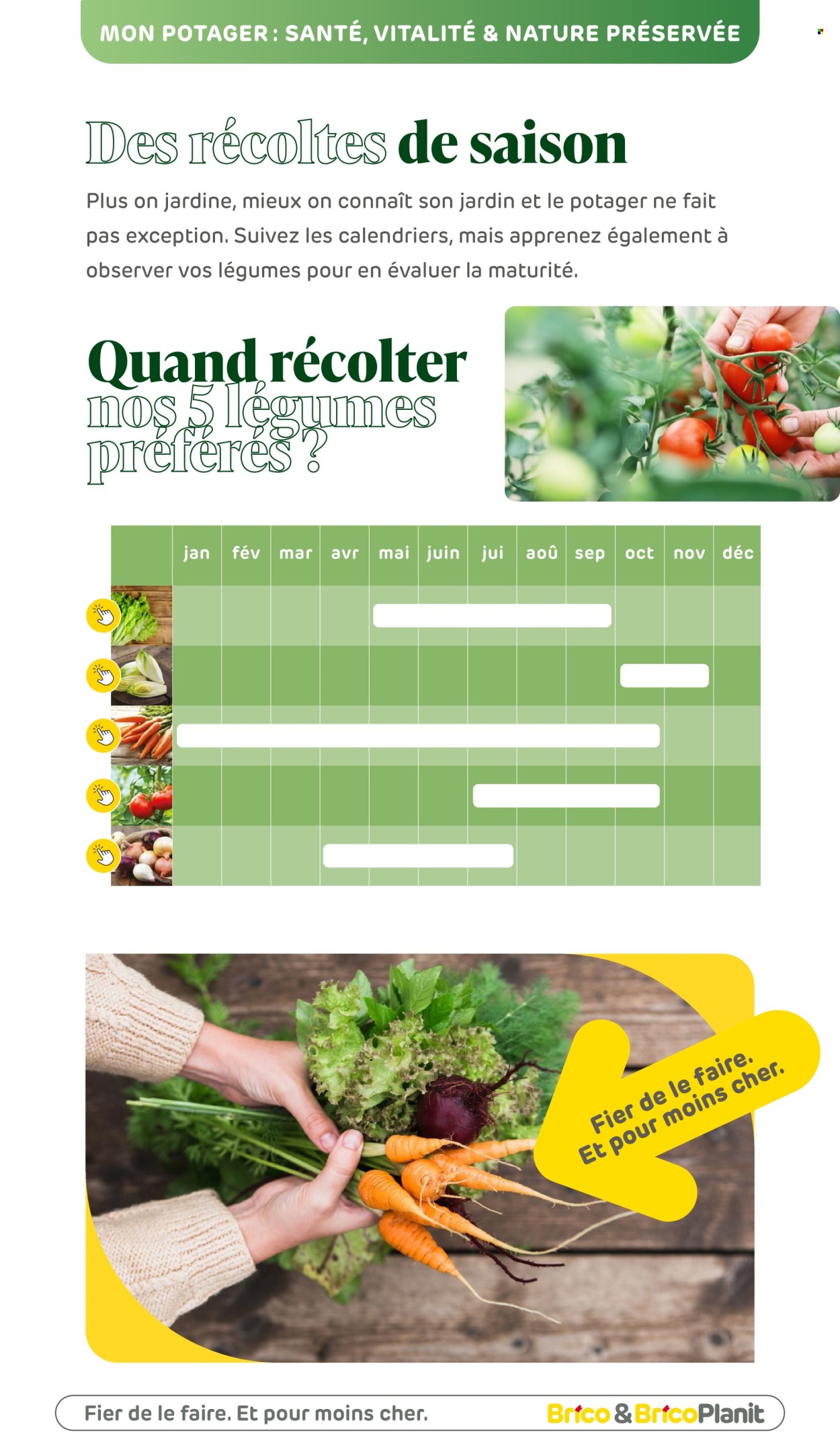 Catalogue Brico. Page 176.