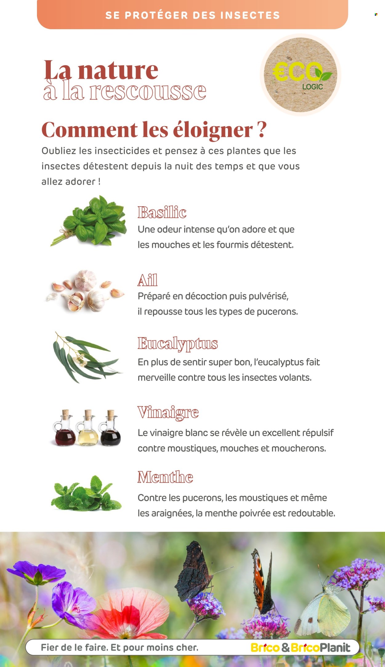 Catalogue Brico. Page 263.
