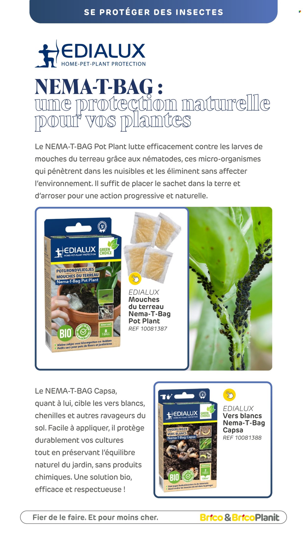 Catalogue Brico. Page 264.