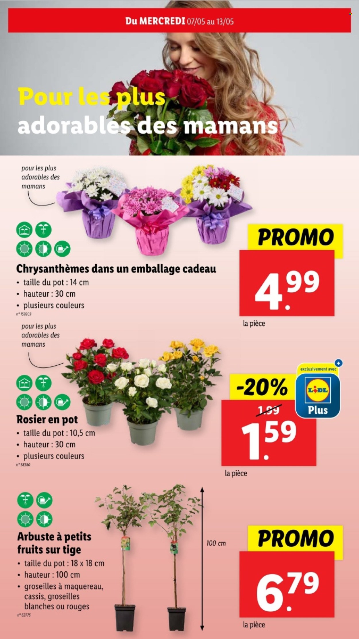 Catalogue Lidl - 7.5.2025 - 13.5.2025. Page 29.