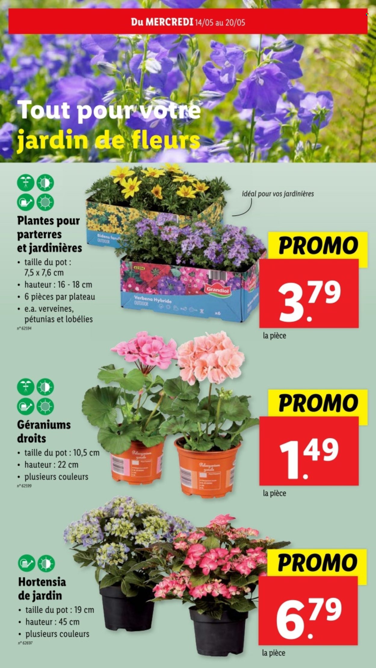Catalogue Lidl - 14.5.2025 - 20.5.2025. Page 46.
