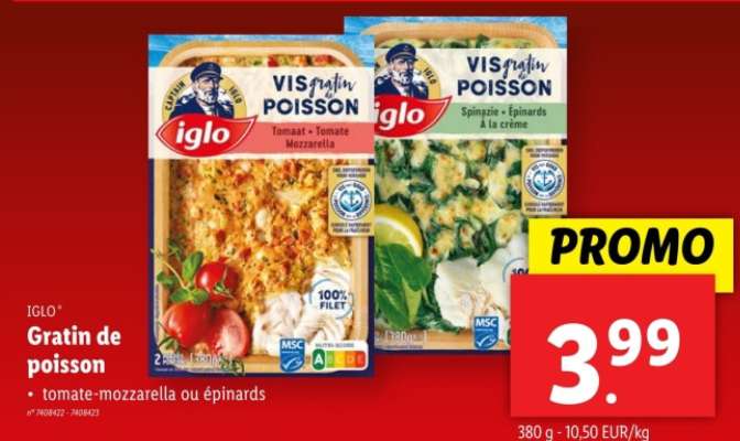 IGLO GRATIN DE POISSON