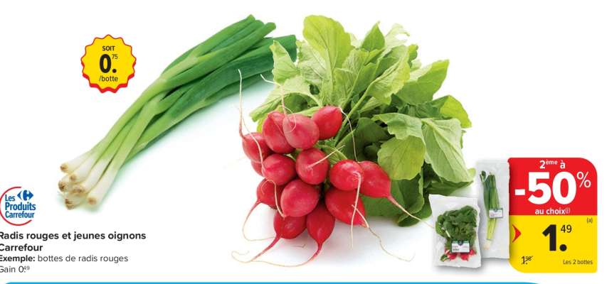 Radis rouges et jeunes oignons