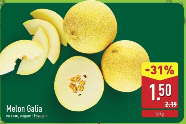 Melon Galia