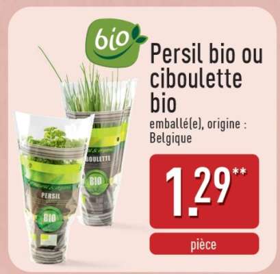 Persil bio ou ciboulette bio